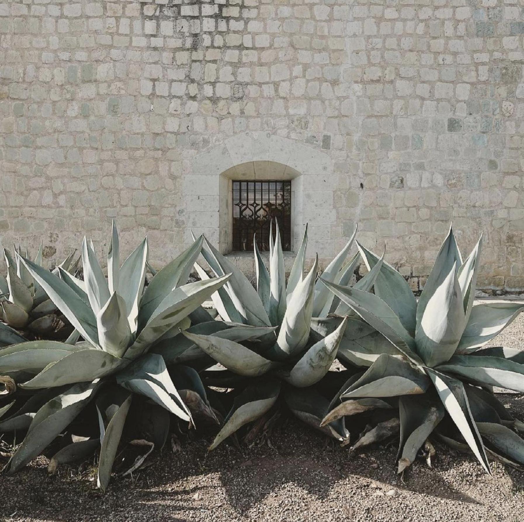 Casa Bonita Hotel & Cocina Oaxaca Exterior foto